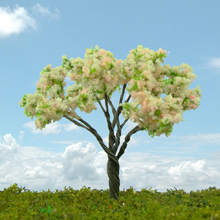 model trees